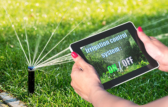 woman holding irrigation controller near sprinkler