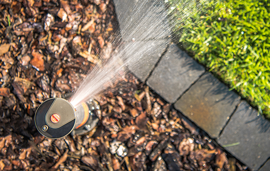 overhead view of sprinkler head