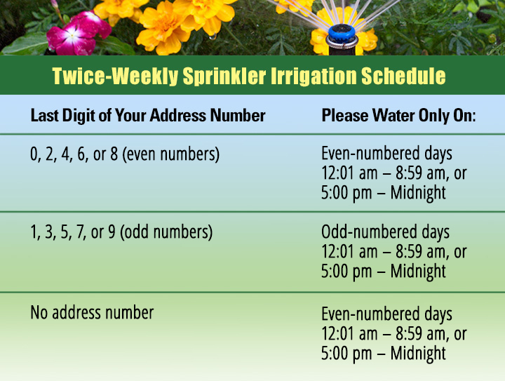 Twice-Weekly Irrigation Schedule for Millbury and Oxford, MA