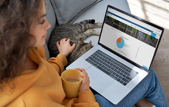 woman on couch with coffee, petting cat while looking at laptop